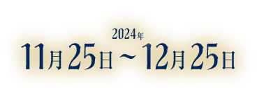 応募期間 2024年11月25日～2024年12月25日