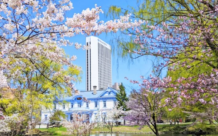 豊平館と中島公園の桜