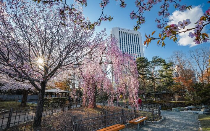 中島公園「日本庭園」