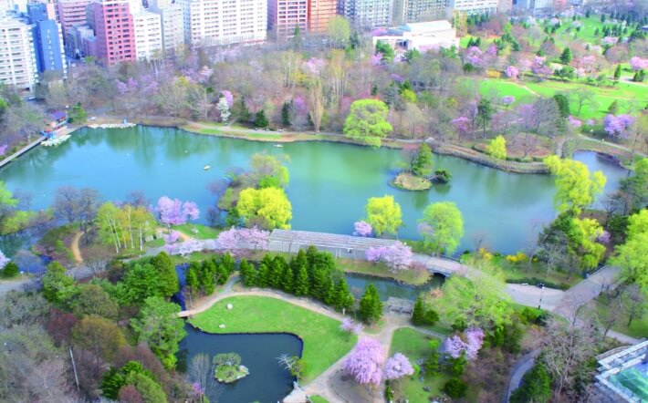 地上97ｍから見る桜