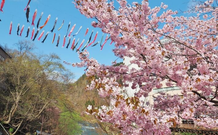 定山渓温泉渓流鯉のぼり