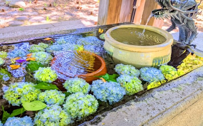 札幌護国神社の花手水