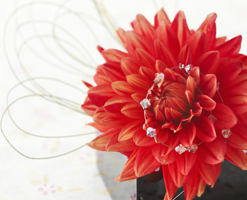 アニバーサリー 特別コース