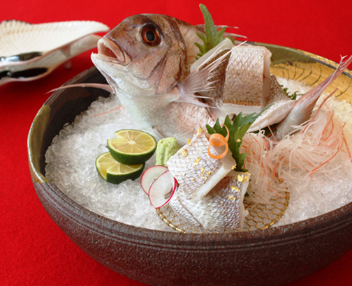 お祝い 特別コース